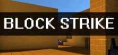 block strike logo_300x2008.jpg